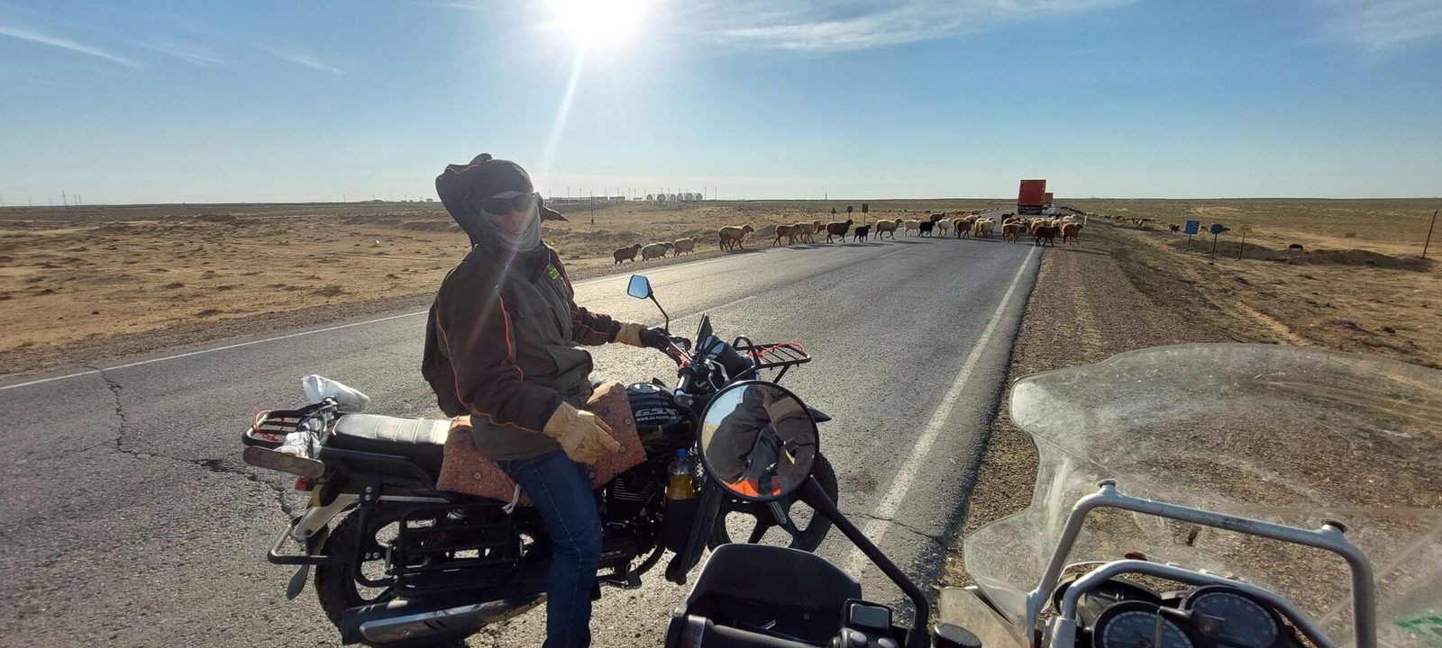 Kazakhstan, 9 April 2026: a herder on a Chinese bike waits with us while the sheep cross